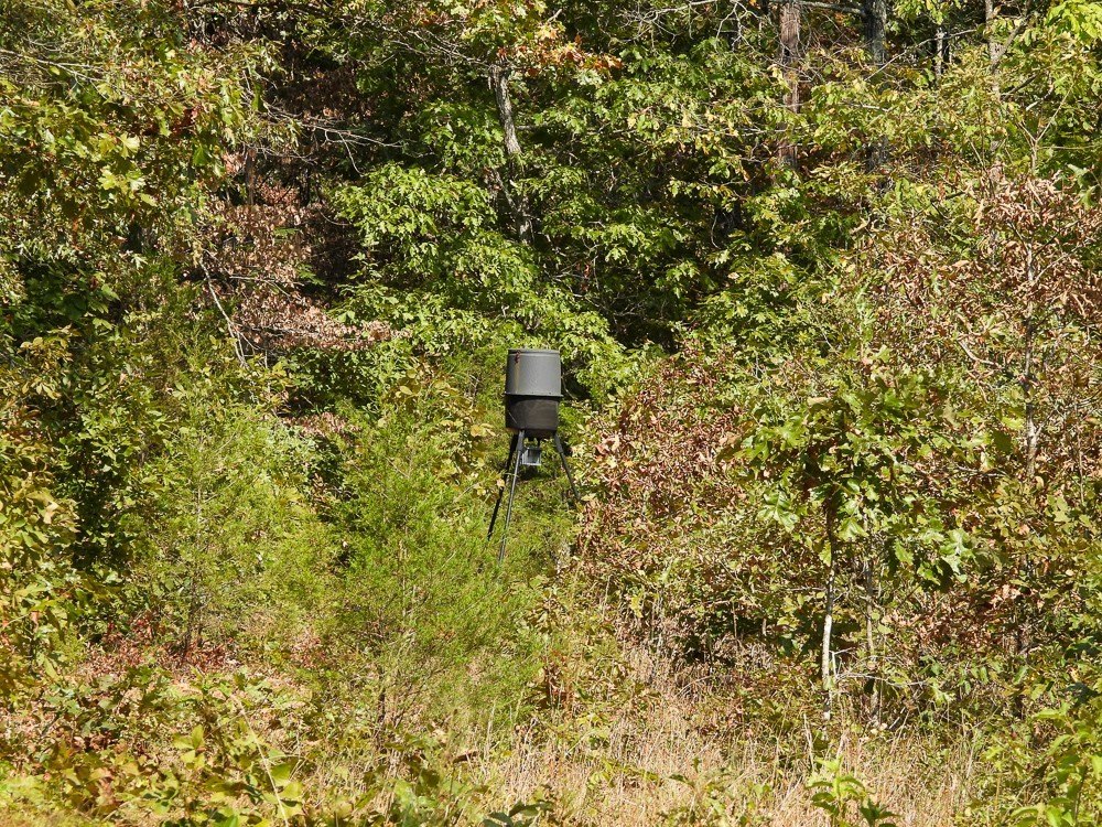 Picture 21