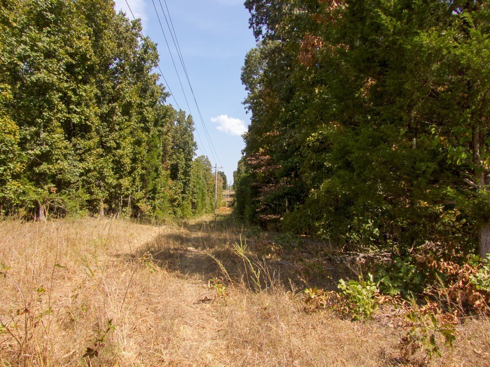 Picture 28