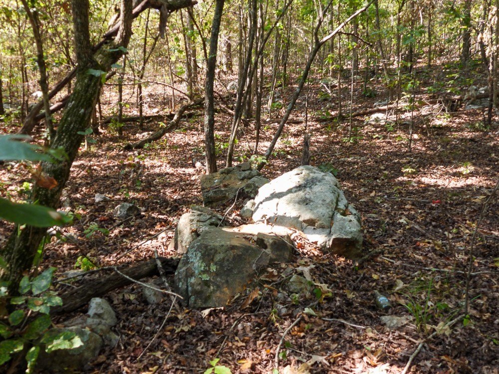 Picture 46