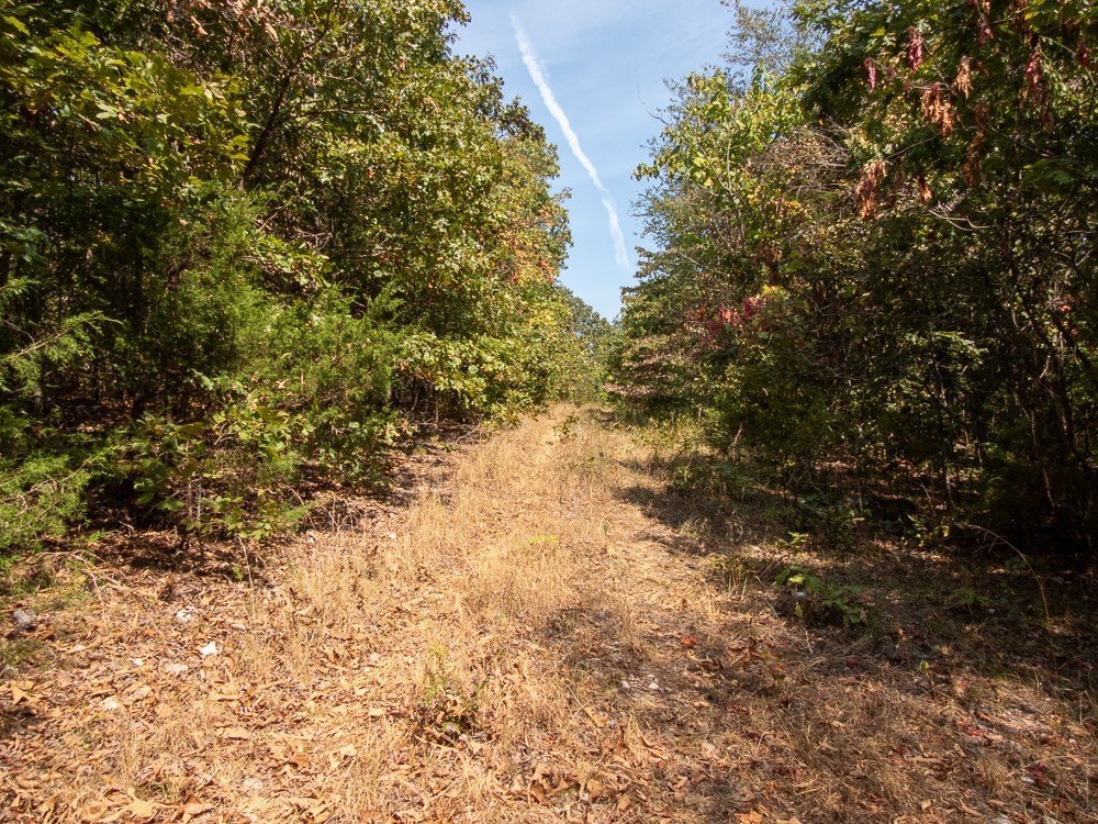 Picture 44