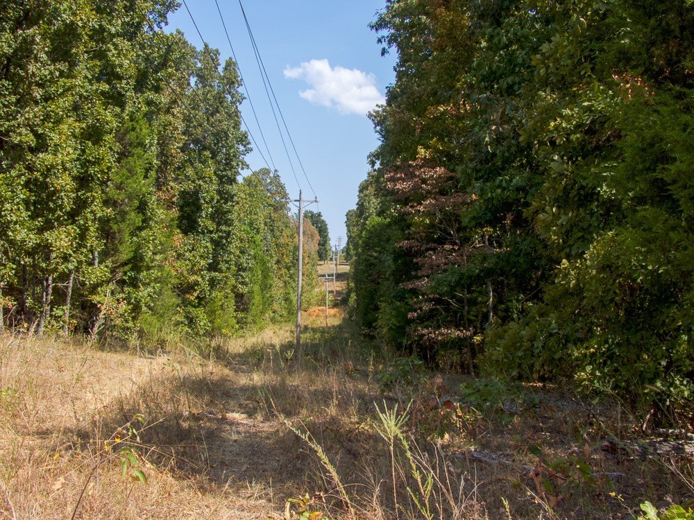 Picture 50
