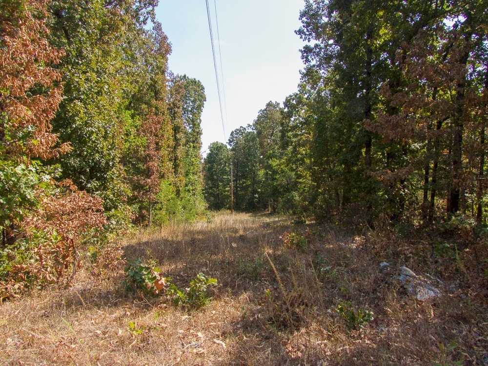 Picture 38