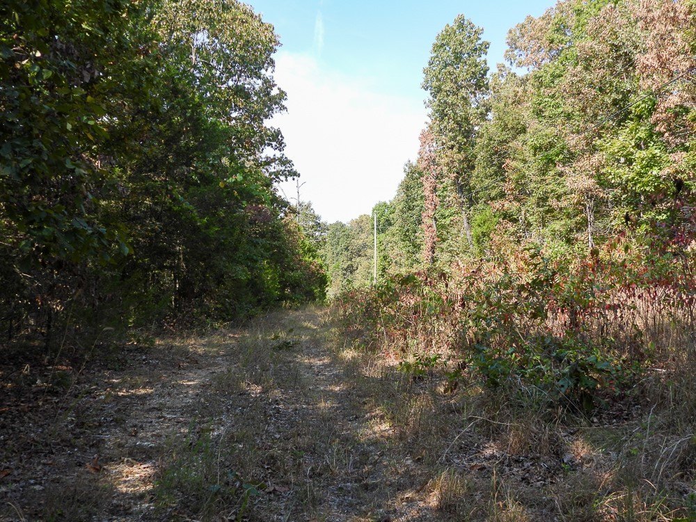 Picture 47