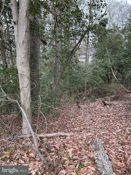 Residential Land in Crownsville, MD