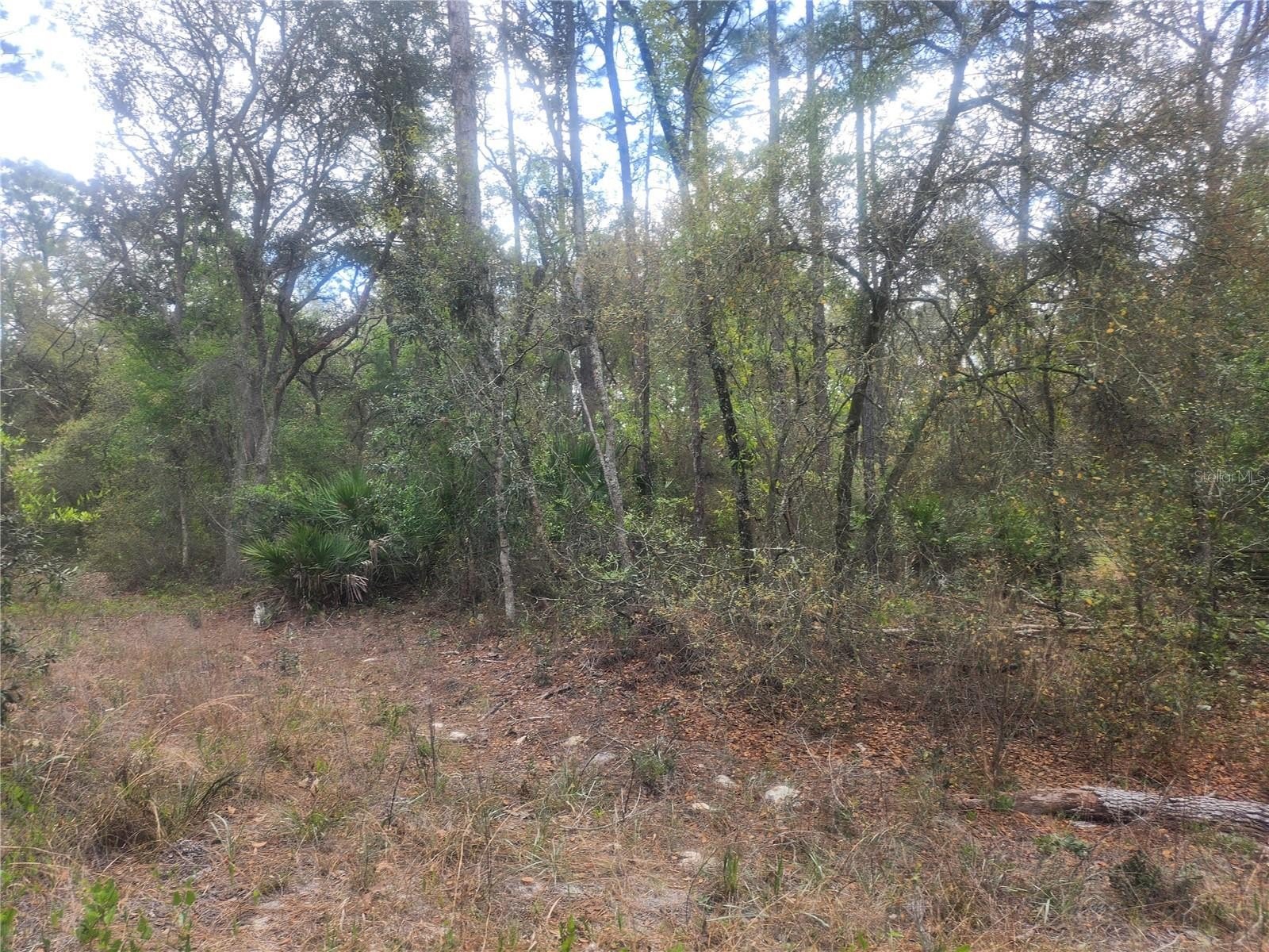 Large Residential Lot in Dunnellon