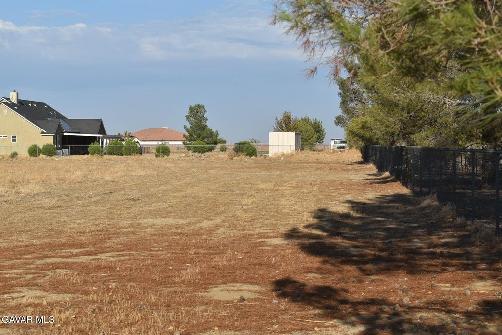 Picture 5