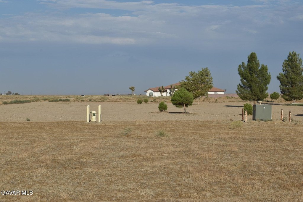Picture 7