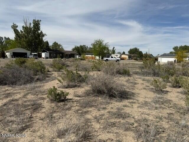 Picture 8