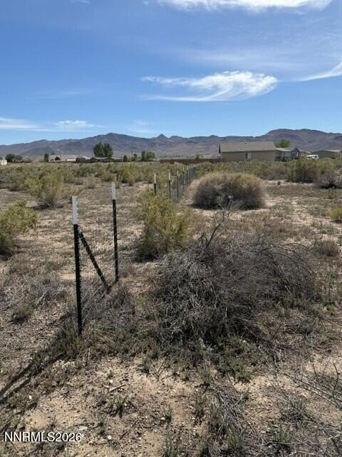 Picture 13