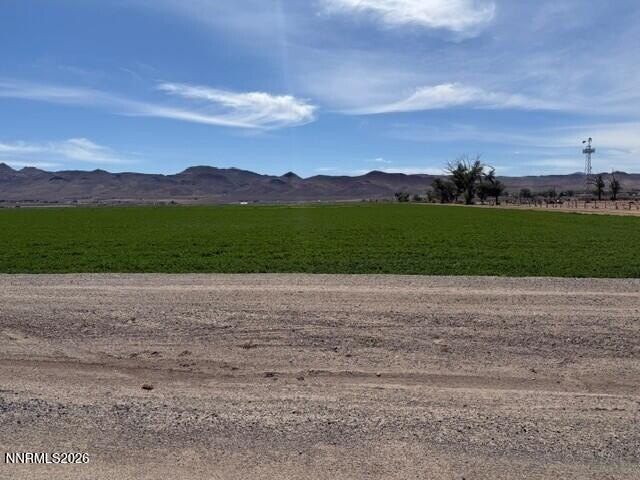 Picture 15