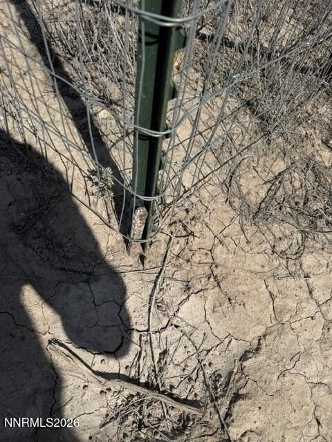 Picture 14