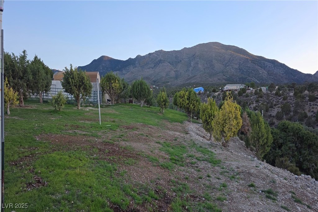 Picture 21