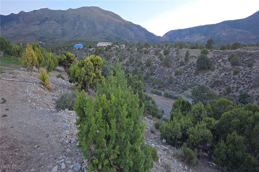 Picture 30