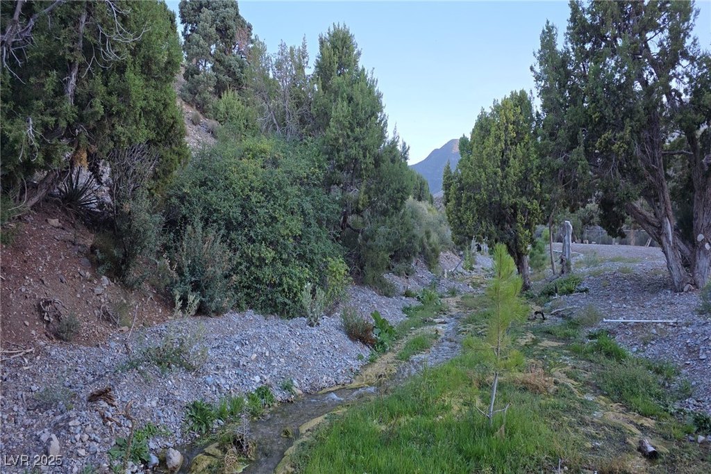Picture 2