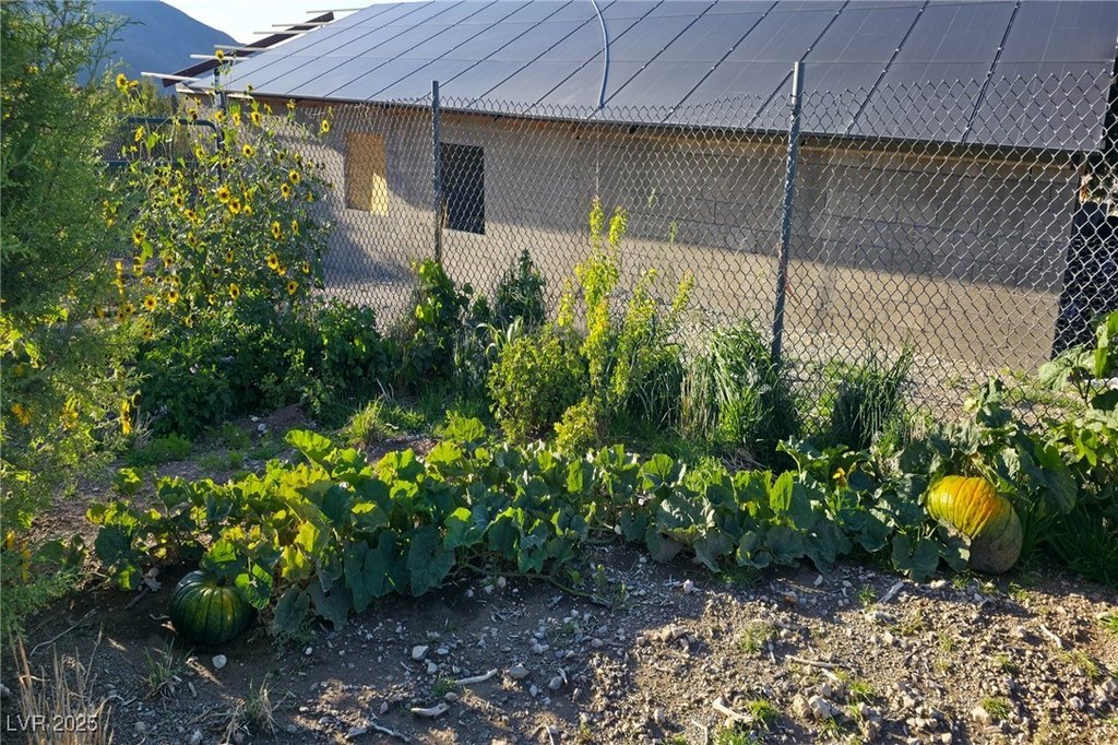 Picture 15