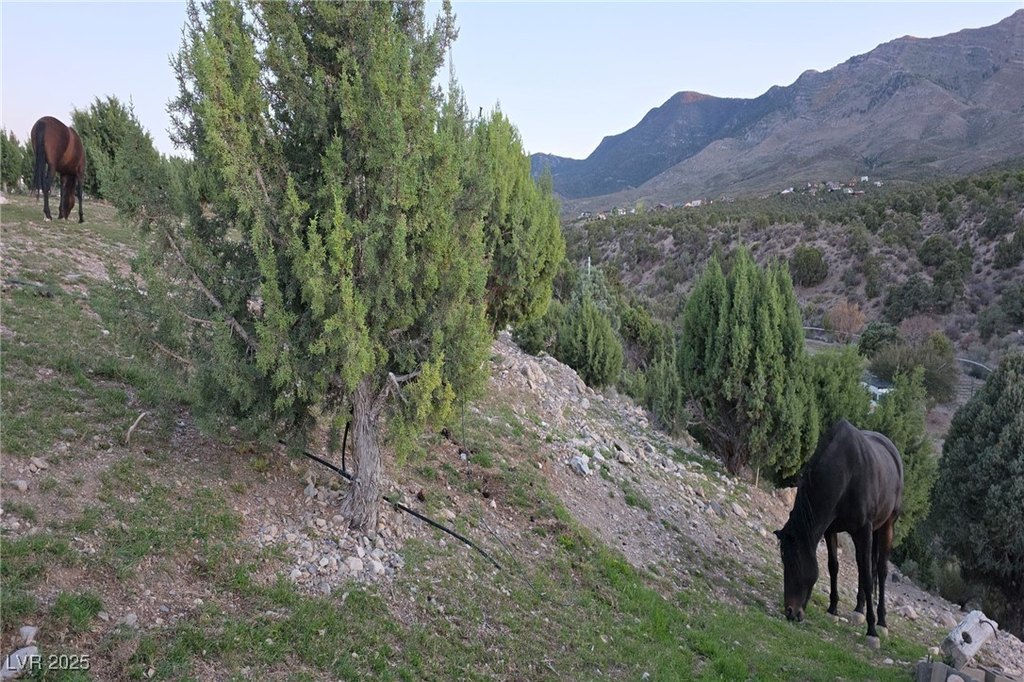 Picture 34