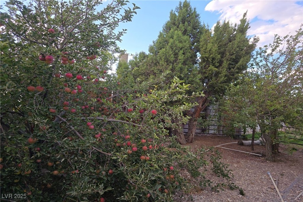 Picture 16