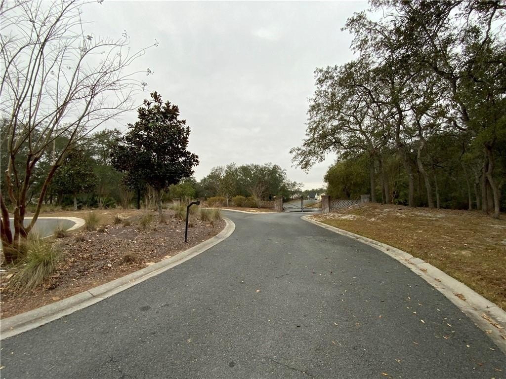 Picture 7