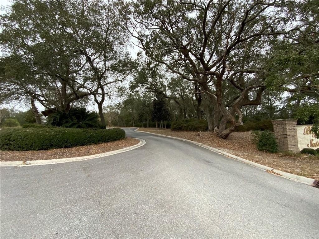 Picture 4
