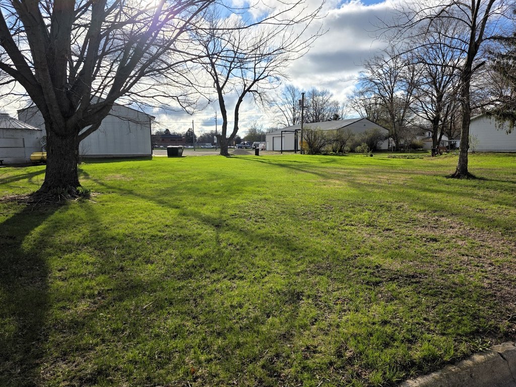 Picture 2