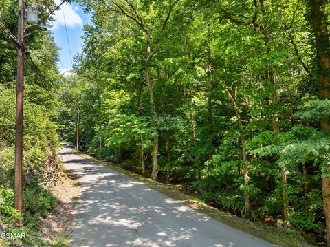 Wooded Residential Development Lot