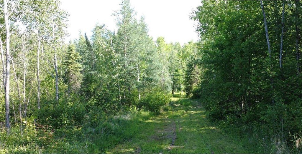 Picture 11