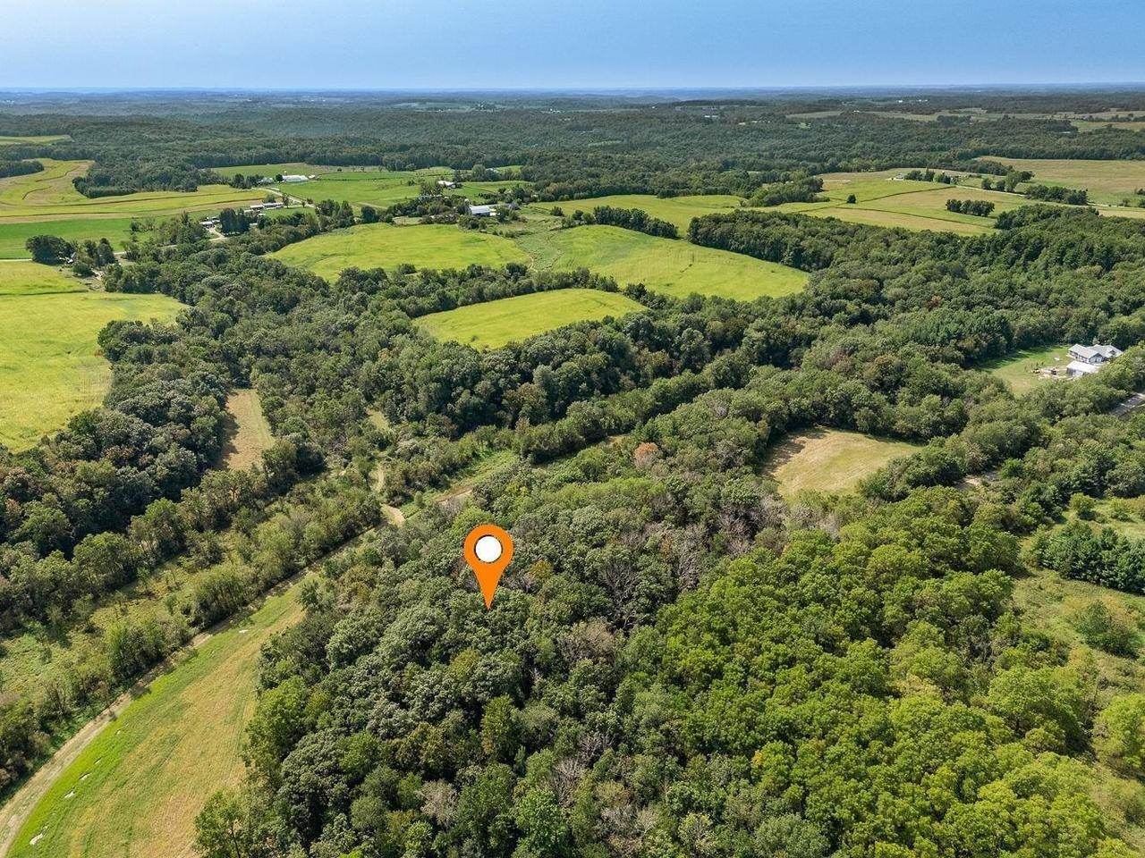 Wooded Land Parcel in Loganville