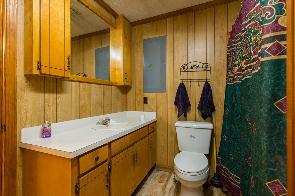 Picture 14