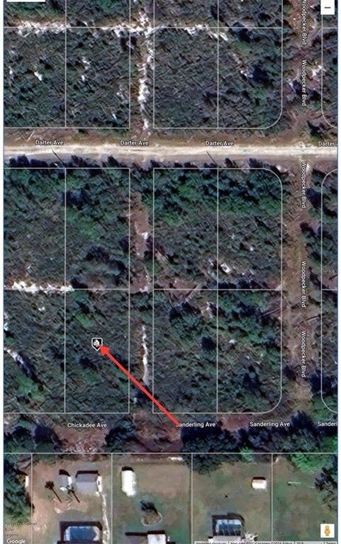Picture 3