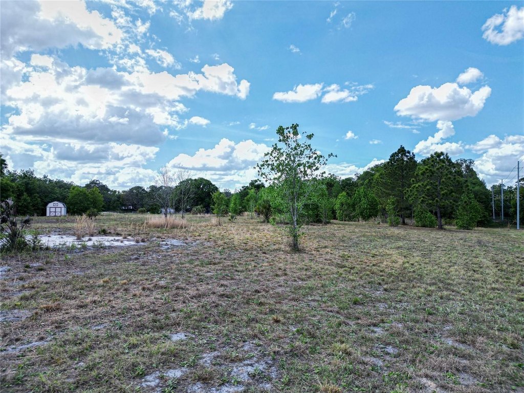 Picture 5