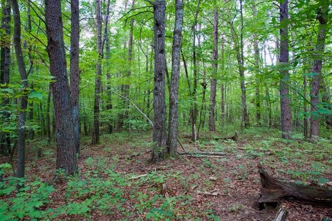 Unrestricted Land with Mountain Views