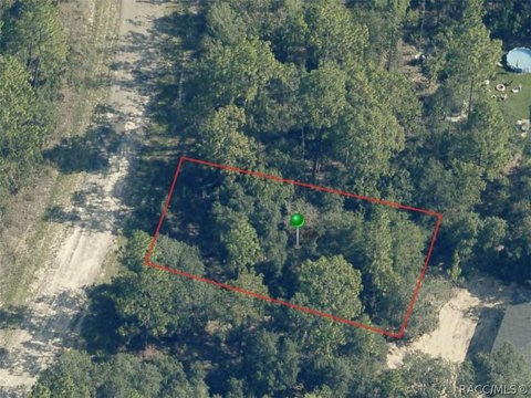 LAND - Dunnellon, FL