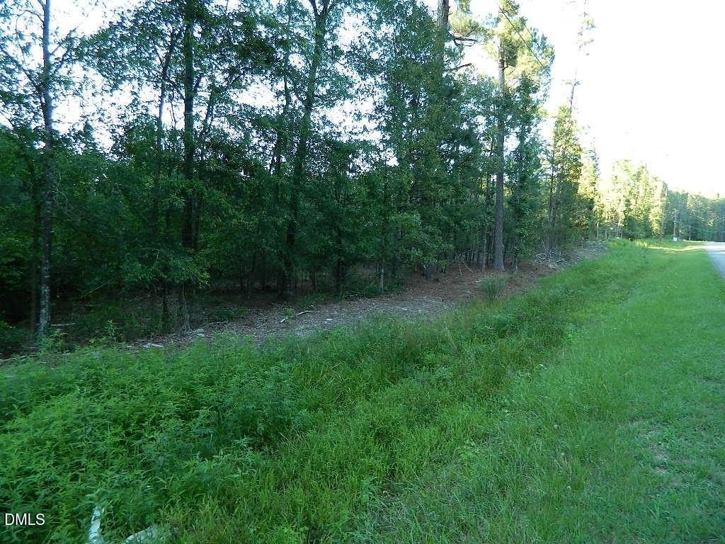 Picture 8