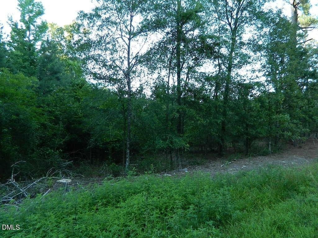 Picture 10