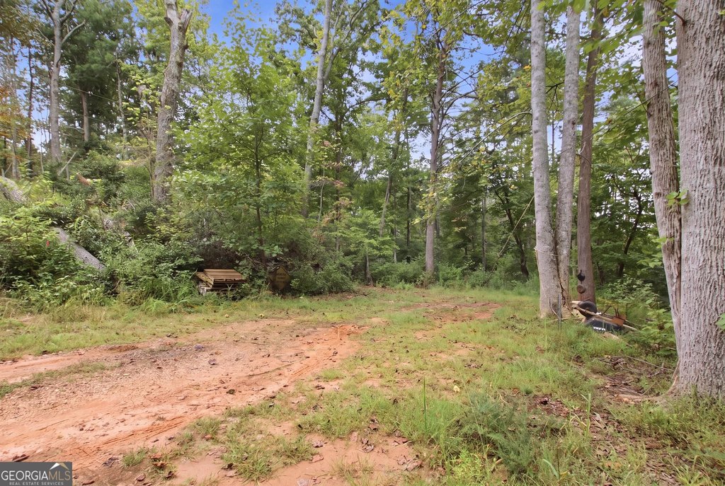 Picture 18