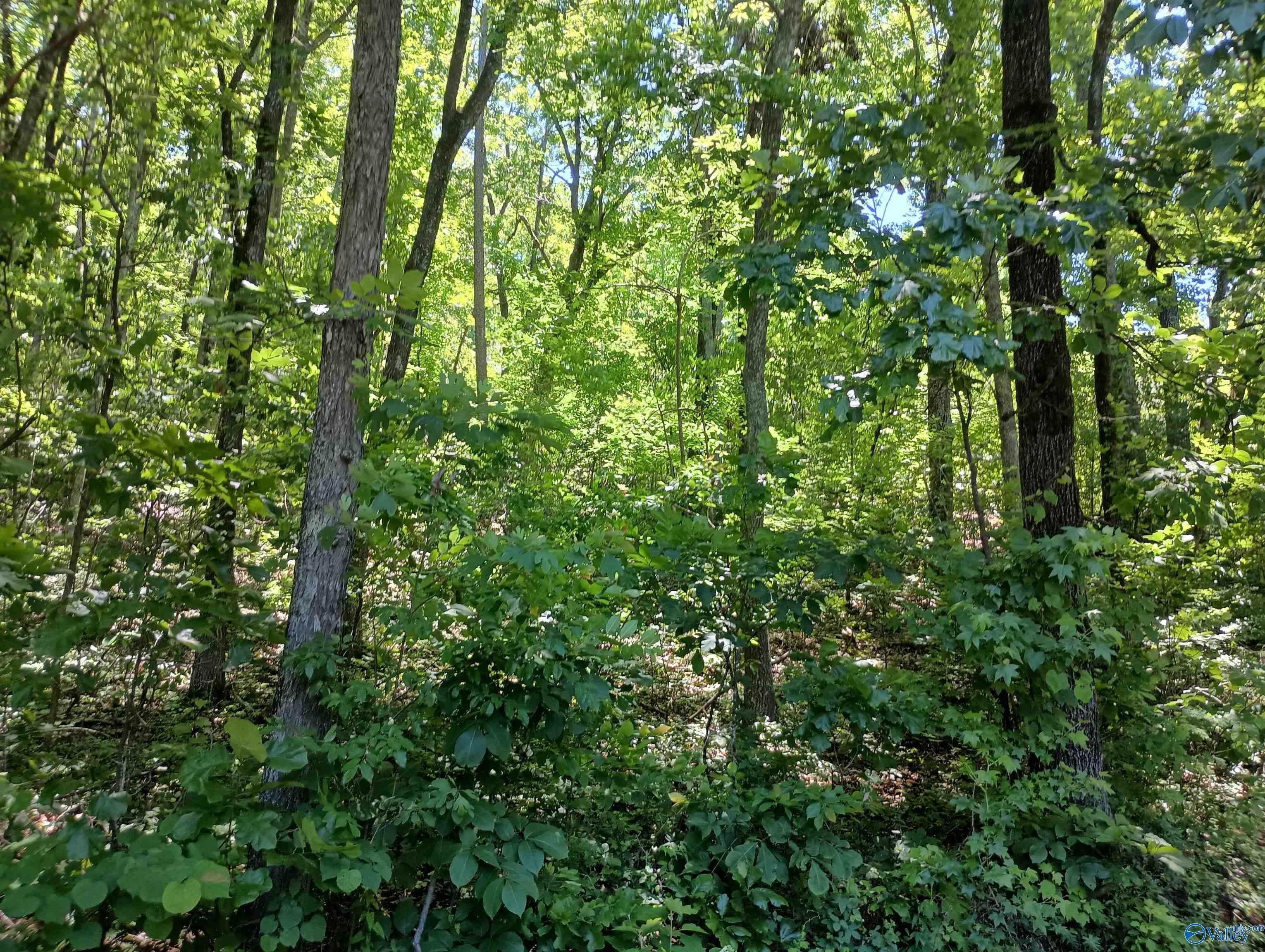 Land in Rainbow City, AL
