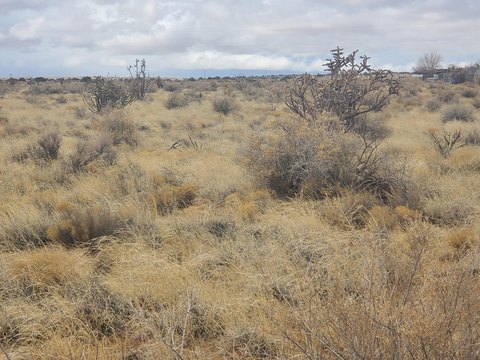 Land, Rio Rancho, NM