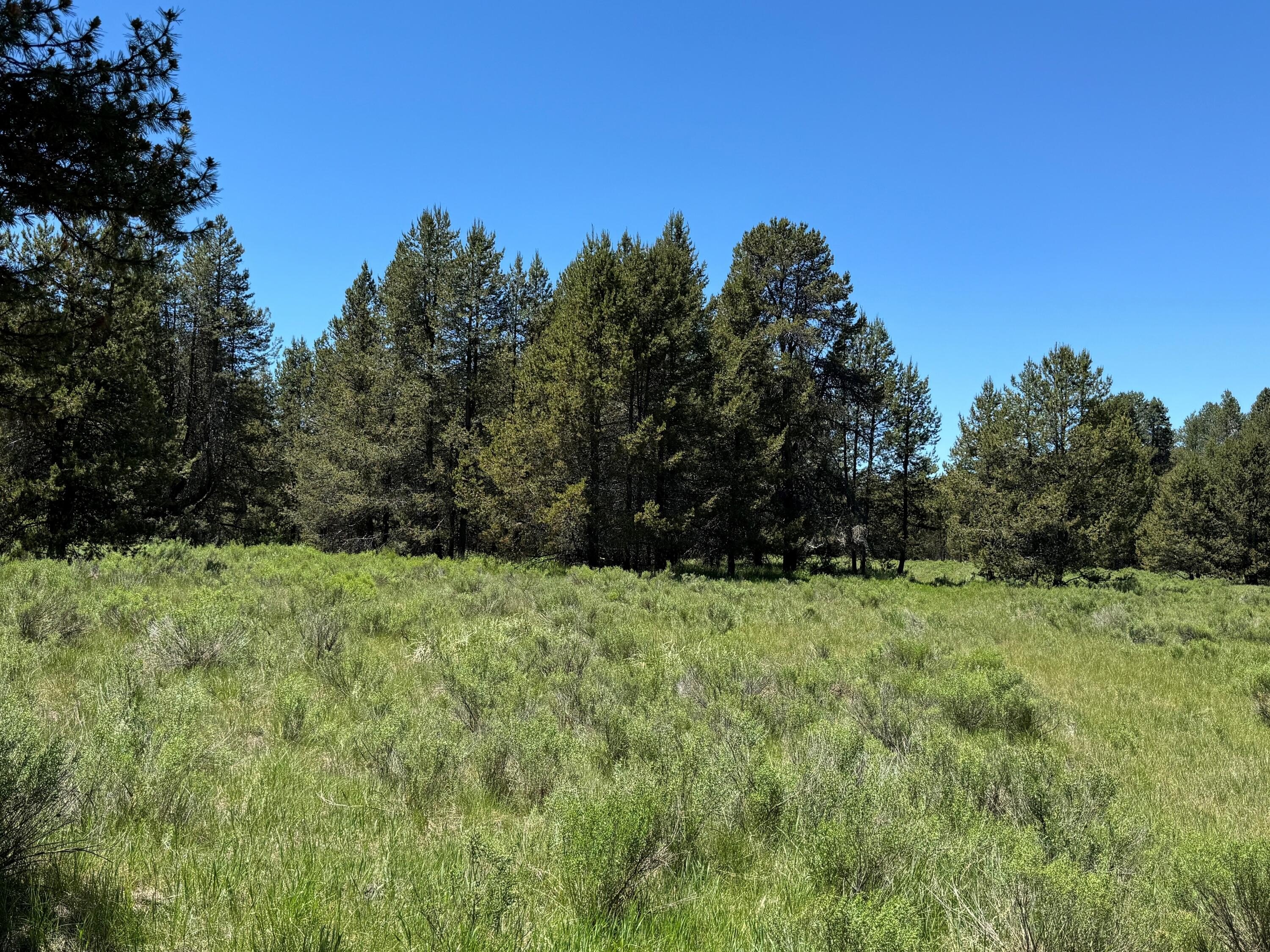 Chiloquin Land Bordering Wildlife Refuge