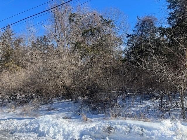 Two Wooded Lots Near Hudson