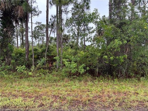 Land in Lehigh Acres, FL