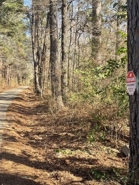 Wooded Acreage in Troup, Texas