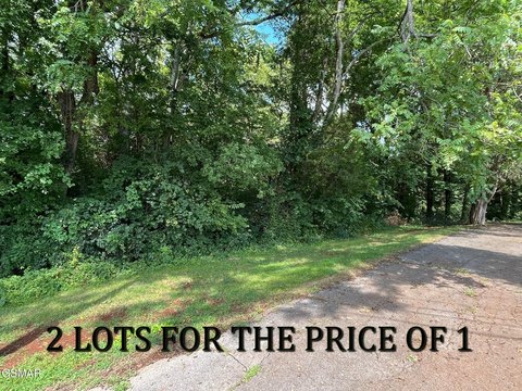 Residential Land in Strawberry Plains