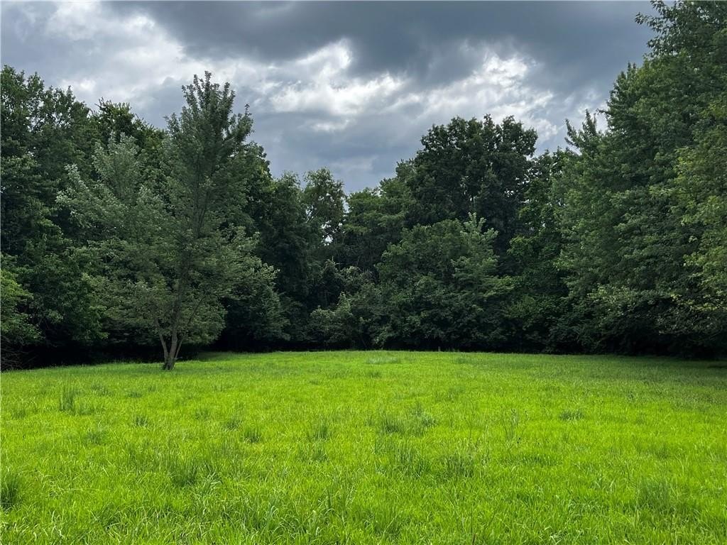 Picture 4