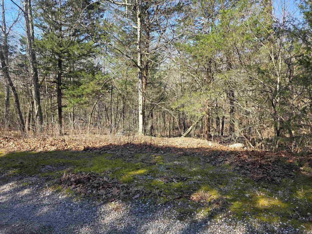 Picture 3