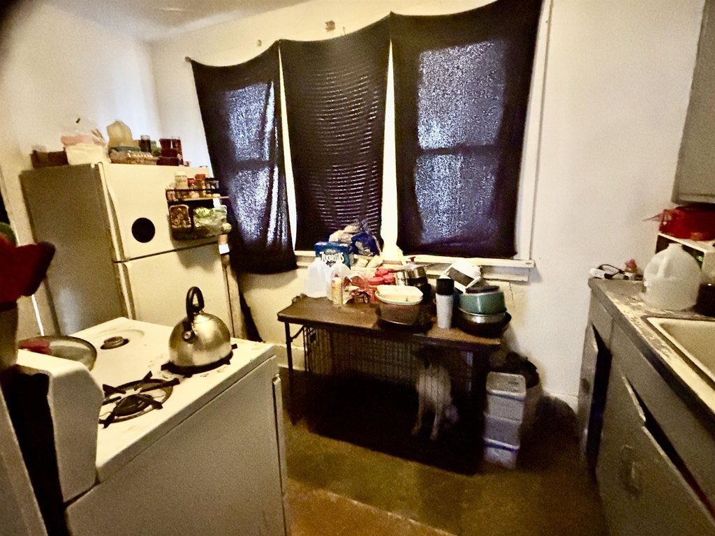 Picture 9