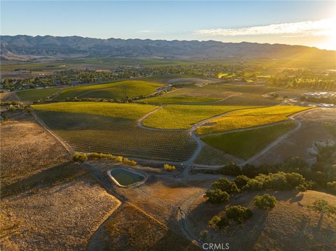 285-Acre Vineyard and Citrus Ranch