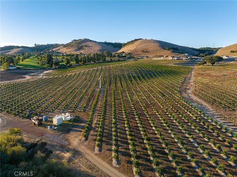 285-Acre Vineyard and Citrus Ranch