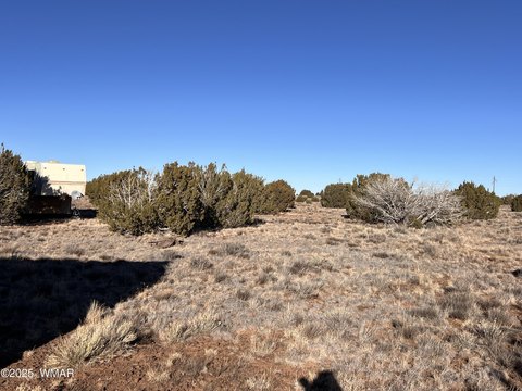 Vernon, AZ 7.52-Acre Land