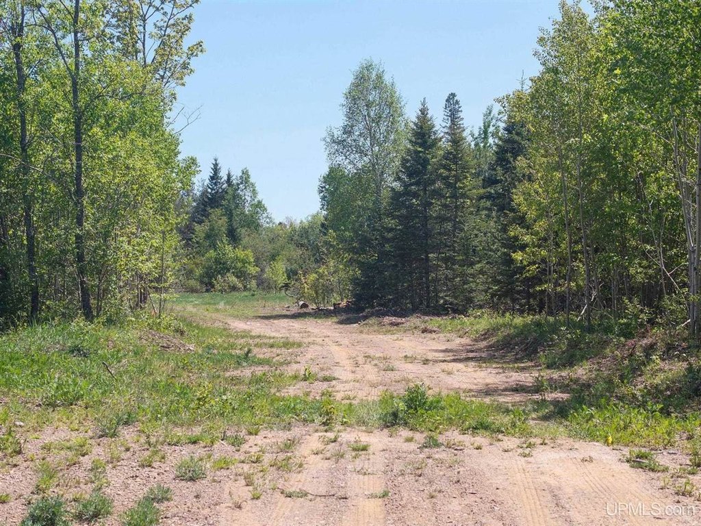 Picture 23