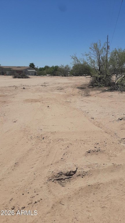 Picture 4